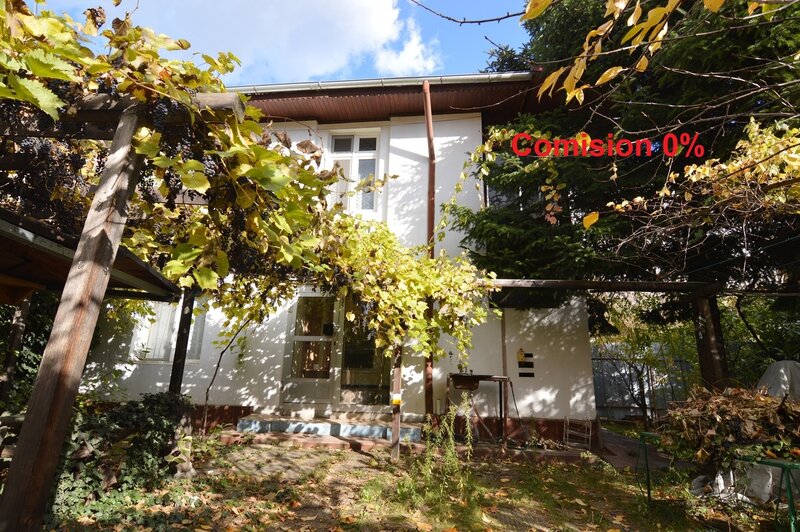 Baba Novac, Campia Libertatii