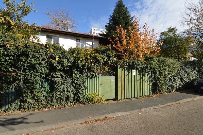 Baba Novac, Campia Libertatii