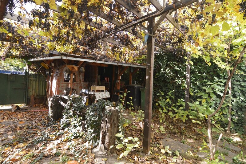 Baba Novac, Campia Libertatii