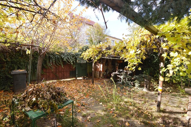 Baba Novac, Campia Libertatii