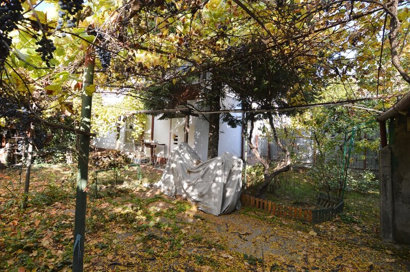 Baba Novac, Campia Libertatii