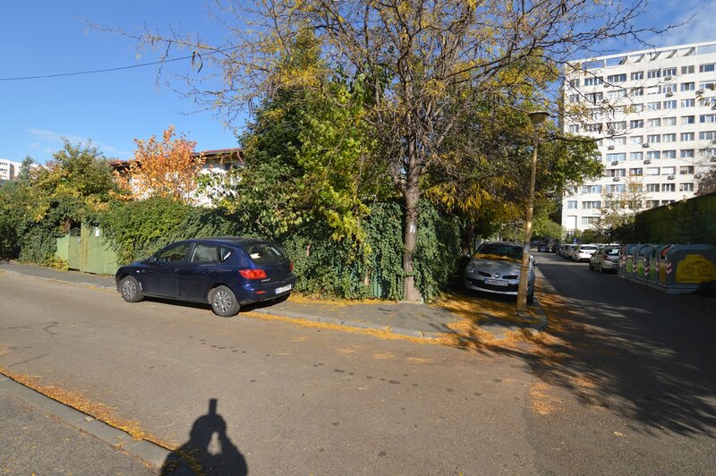 Baba Novac, Campia Libertatii